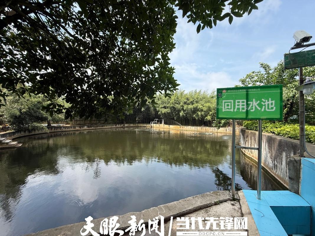 花园草坪下的“节水工厂” 草皮种植的绿色变革