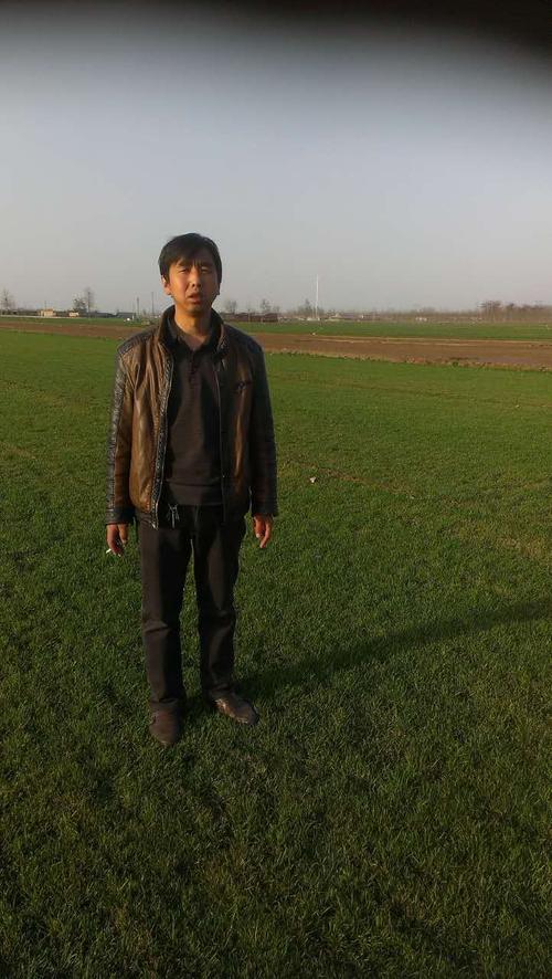 石家庄混播黑麦草草皮