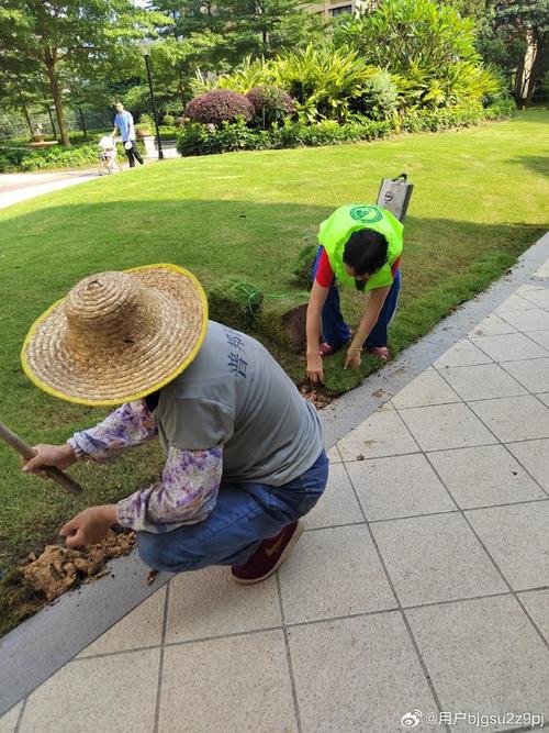 green earth action,我在行动!